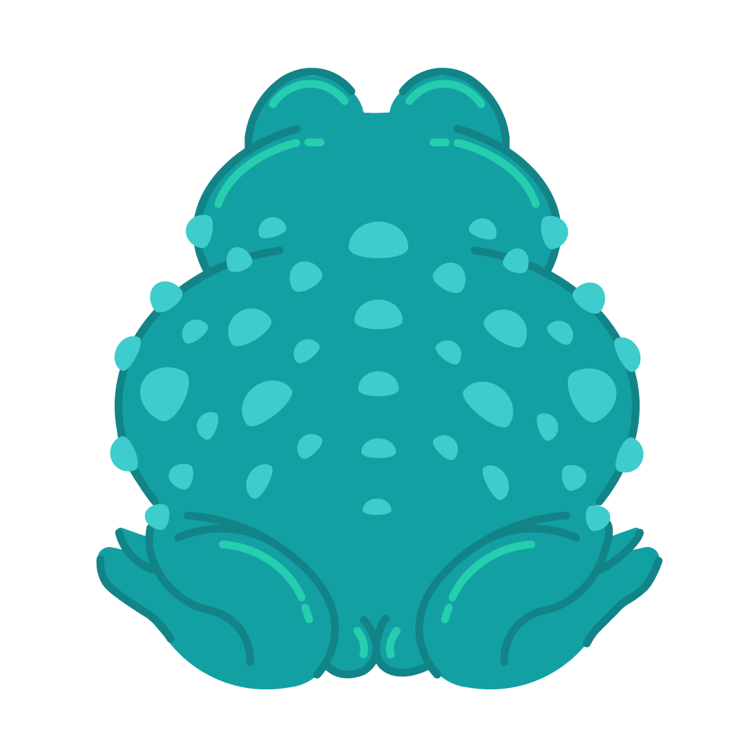 Frog Back